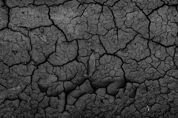 cracks on the ground desert texture background earth climate ecology