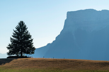 Blick auf den Gipfel und die Nordwand des Mont Granier, Chartreuse