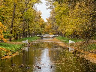 Fototapeta na wymiar Alexander Park (Tsarskoye Selo). Bridge over the canal. Autumn maple in the park.