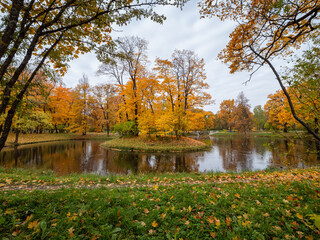 Alexander Park (Tsarskoye Selo). Pond in the park. Autumn maples in the park.