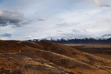 landscape mountain altai, panorama scenery freedom, autumn nature of siberia