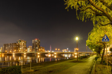 街路樹の柳の木と萬代橋の夜景