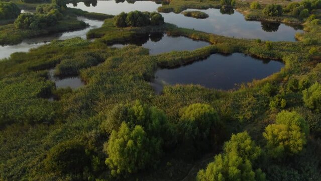 Swamp lake at the sunset in Vacaresti
