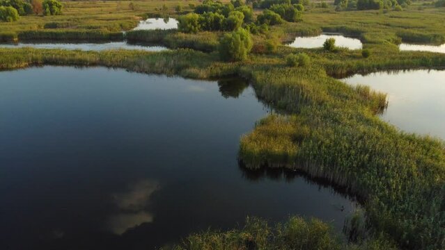 Vacaresti Delta lake