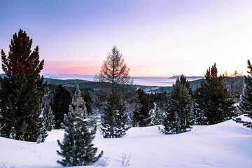 Winter dawn in the Altai mountains. Altai Republic, Russia