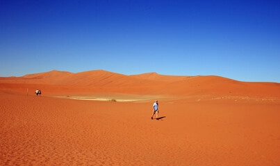 Fototapeta na wymiar Sossusvlei, Namib Naukluft, 2022. Tourists walking across the vast open orange desert, it is known for it's vivid bright orange and red sand dunes and is a world heritage site
