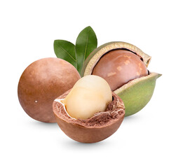 Macadamia nuts with leaves isolated on transparent background. (.PNG)