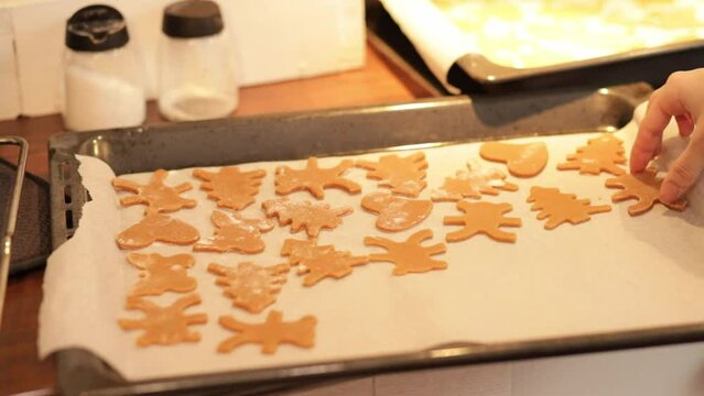 female hands spread christmas cookies gingerbread on a baking sheet in the oven