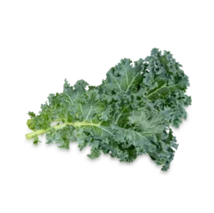 Poster Fresh kale isolated on transparent background (.PNG) © sathit