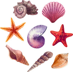 Illustration set of shells painted star sea shell clam pearl sea treasures digital