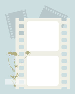Photobook Frame for collage, film, photo frame, camomile print, herbarium. Vector illustration