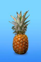 Ripe pineapple on blue background