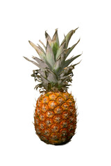 Ripe pineapple png