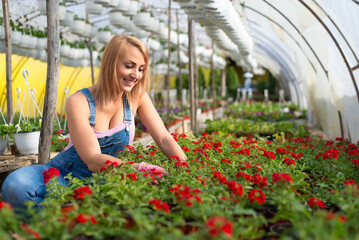 Young woman gardener and florist working with flowers in the greenhouse in summer