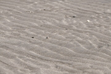 Fototapeta na wymiar Texture of beach sand that make a wave pattern