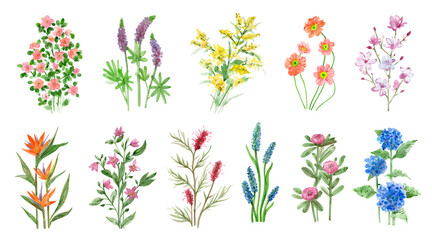 A collection of colorful flowers. Sketches of blossom with stalks and leaves. An isolated set of different florets. A bush of wild roses. A spring yellow bloom twig. Watercolor painting. png - 538357804