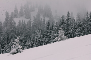 Dramatic winter landscape. View of a snow-covered  and frozen trees in mountains. Nature concept background.