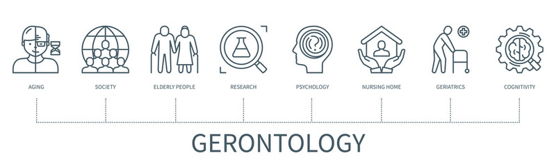 Gerontology vector infographic in minimal outline style
