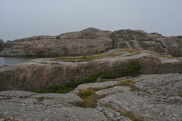 Fototapeta na wymiar Rocky coast near Marstrand in Sweden.