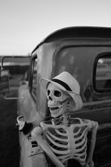 person in a car, Skeleton figure in rear of American pickup truck  © Scott Parsons