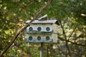 wooden bird house in forest