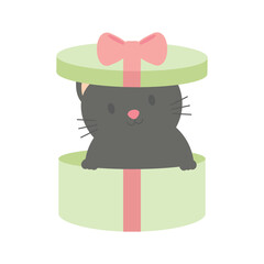 Black Cat Gift Box