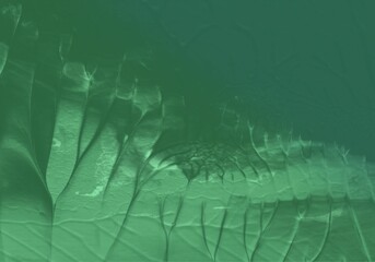 Oil painting illustration background design.