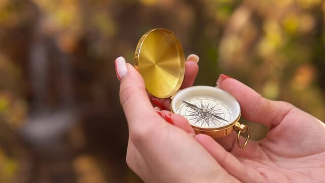 Hand Holding Compass. Online Booking Stock Image - Image of holiday, money:  153857823