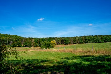 Fototapeta na wymiar Forest landscape near Moresnet, Belgium 