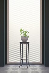 Plant with big window