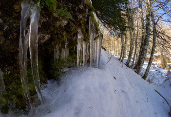 ice stalactites on rocks with snow