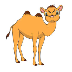 vector illustration of cute camel cartoon