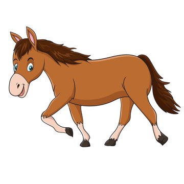 vector illustration of cute horse cartoon