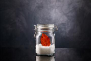 Wintertraum im Einmachglas