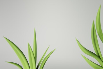 Green plant on a white background. Horizontal banner with 3d render of aloe vera in macro. Fresh juicy aloe vera leaves on white background for skin, hair and health care product design.