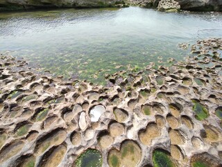algae underwater and potholes