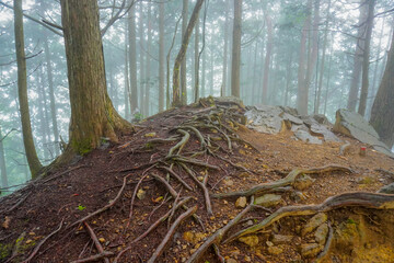 Mount Nokogiriyama, Okutama, Tokyo, Japan