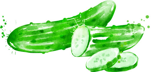 Watercolor hand drawn illustration of cucumbers whole, sliced and half