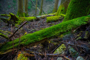 Akuba touge, Mount Mitake ,Nabewari, Okutama, Tokyo, Japan