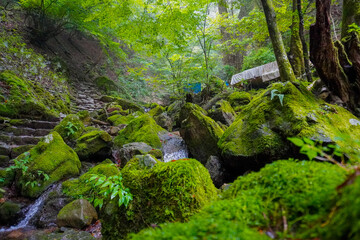Fototapeta na wymiar Rock Garden, okutama, mount mitake, Tokyo, Japan