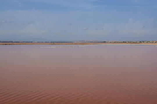 Las Salinas De Torrevieja, The Pink Lake Of Torrevieja, Pink Salt Lagoon In Torrevieja, Costa Blanca, Province Of Alicante, Spain