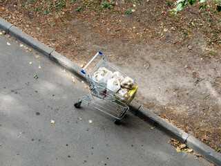 Potatoes in package are in the cart. Close-up. View from above. Fallen leaves are visible on the pavement.