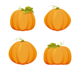 set of yellow large pumpkins