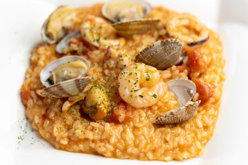 魚介のトマトソースリゾット