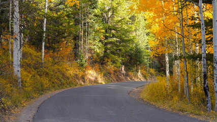 Autumn and Fall colors on the Timpanogos Highway/Alpine Loop in Utah. October