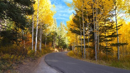 Autumn and Fall colors on the Timpanogos Highway/Alpine Loop in Utah. October