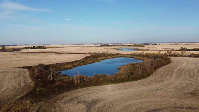 Intact wetlands in a rural area of Saskatchewan, Canada, surround by farmed fields. Late fall. 