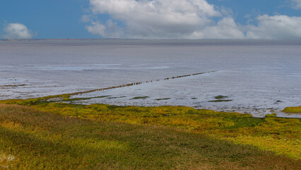 Blick vom Morsumer Kliff auf das Wattenmeer