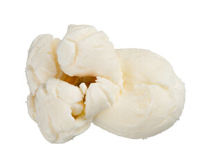 Single popcorn seed, macro shot isolated on transparent background as png clipart