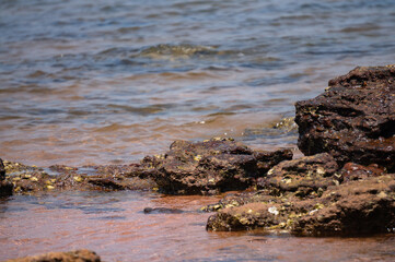 Rocks in the basin of the sea.